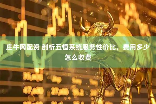 庄牛网配资 剖析五恒系统服务性价比，费用多少怎么收费