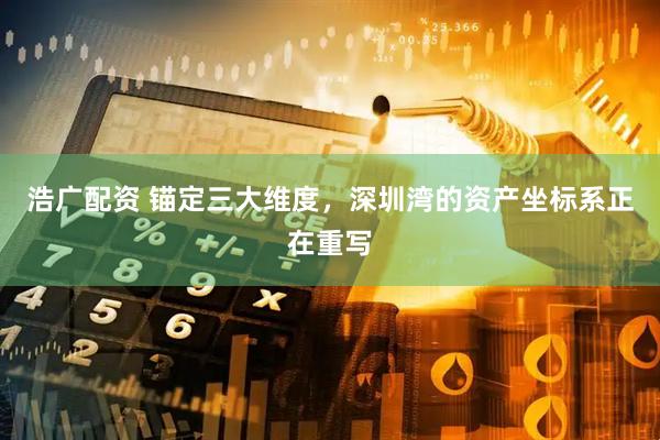 浩广配资 锚定三大维度，深圳湾的资产坐标系正在重写